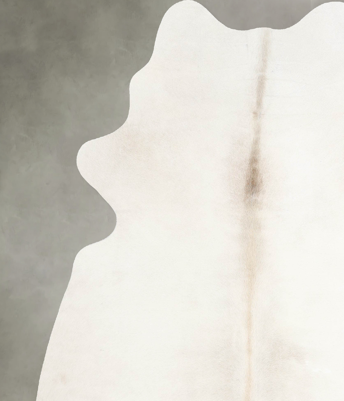 Solid White Large Brazilian Cowhide Rug 6'2"H x 5'2"W #A54880 by Hudson Hides