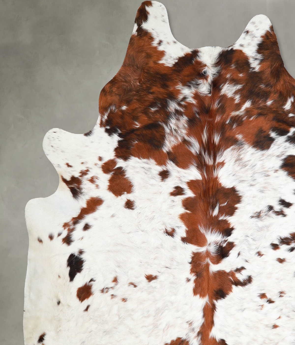 Tricolor XX-Large Brazilian Cowhide Rug 8'0"H x 7'5"W #A54883 by Hudson Hides