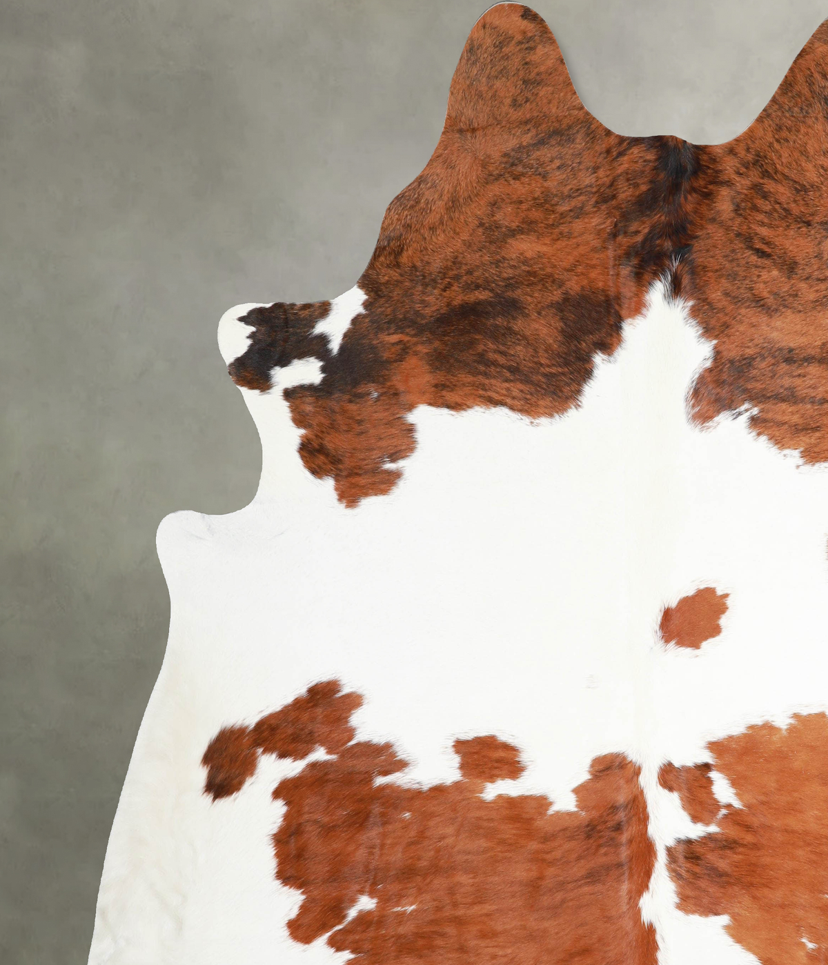 Tricolor XX-Large Brazilian Cowhide Rug 8'3"H x 7'3"W #A54884 by Hudson Hides