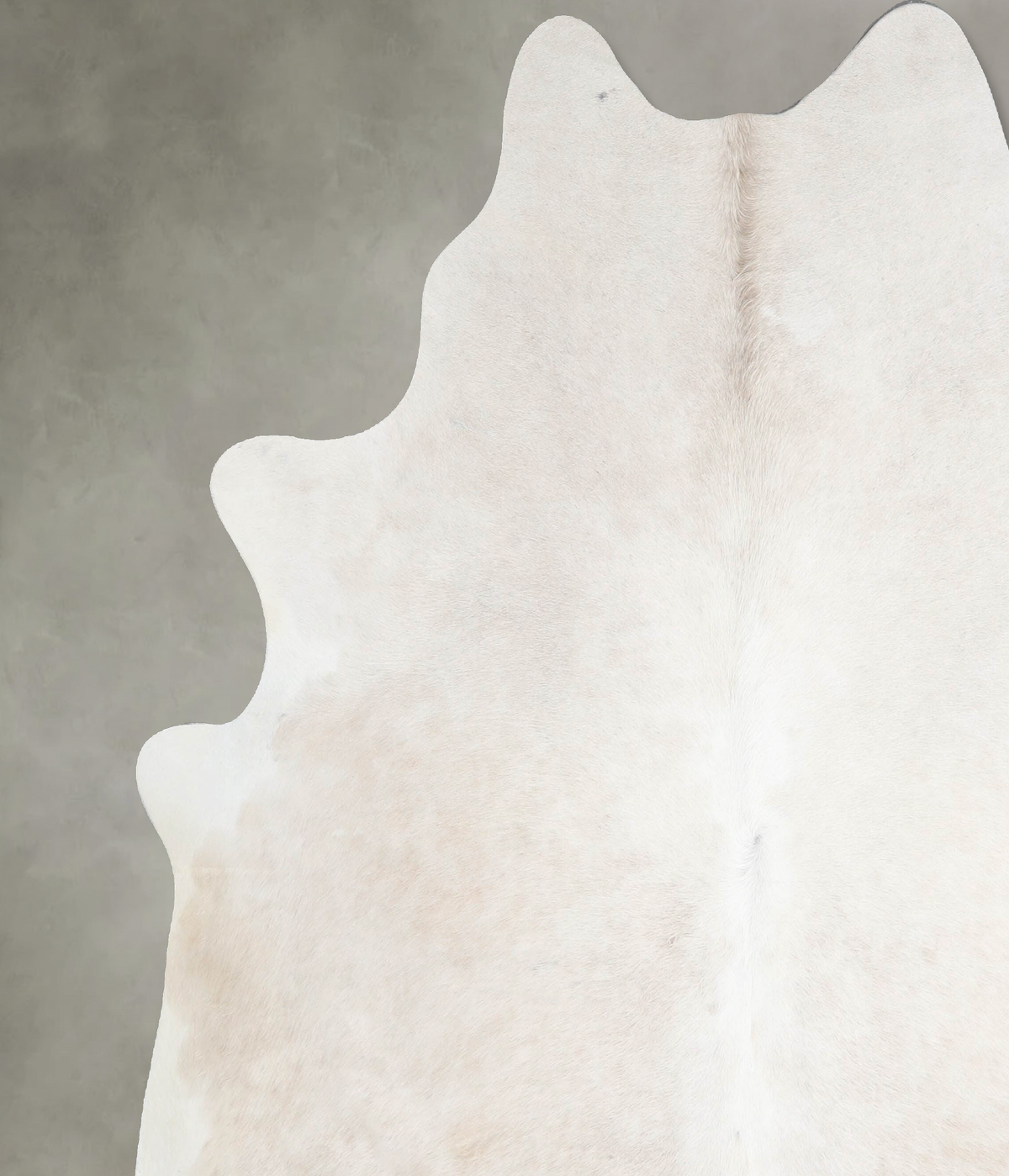 Champagne XX-Large Brazilian Cowhide Rug 7'8"H x 7'1"W #A54887 by Hudson Hides