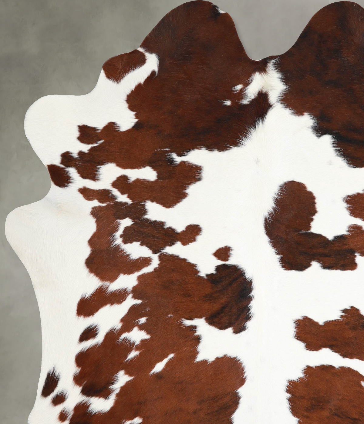 Tricolor X-Large Brazilian Cowhide Rug 7'3"H x 6'5"W #A54895 by Hudson Hides