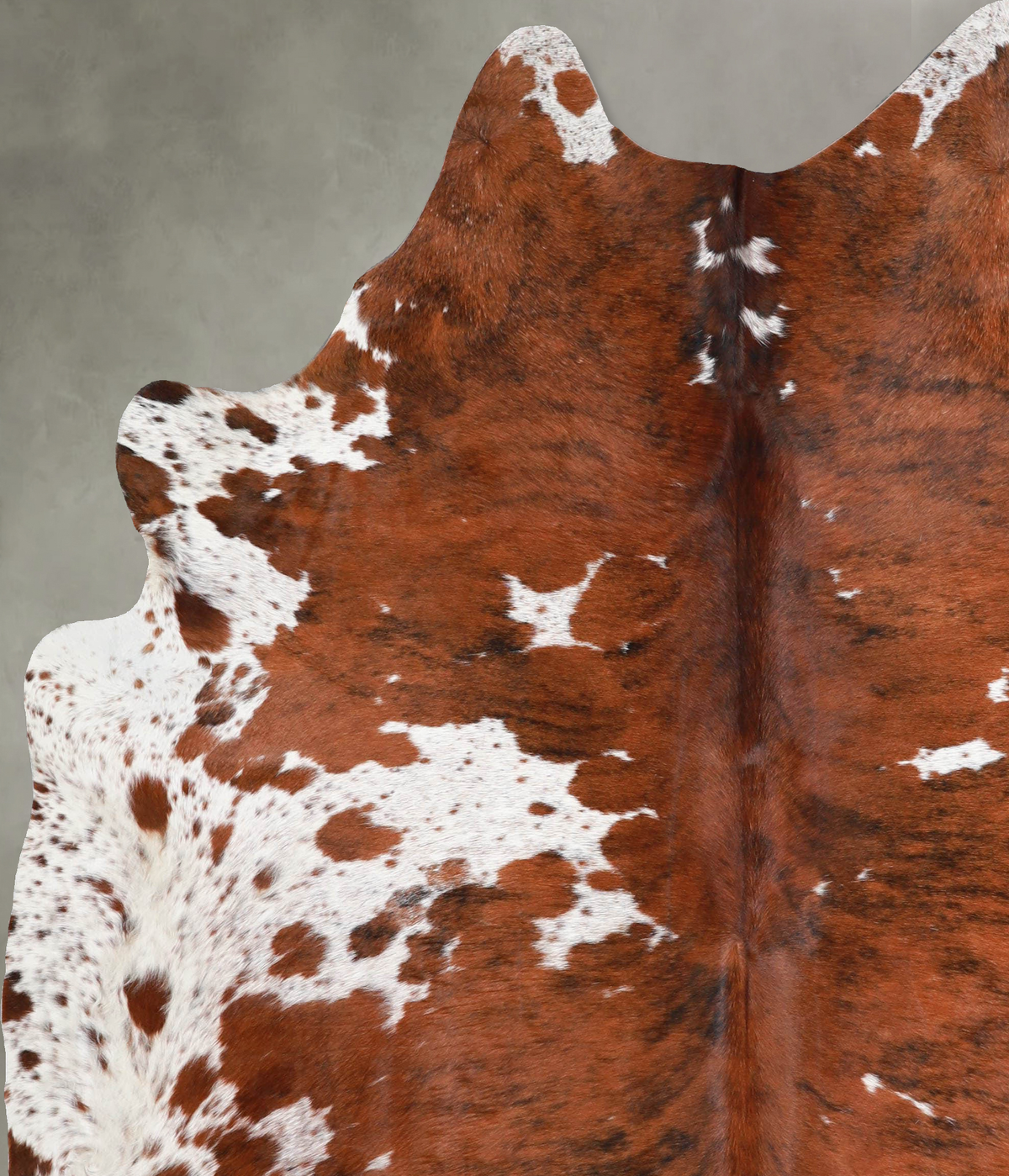 Tricolor X-Large Brazilian Cowhide Rug 7'3"H x 6'1"W #A54896 by Hudson Hides