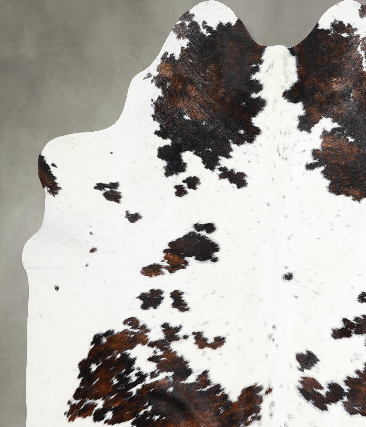 Tricolor X-Large Brazilian Cowhide Rug 7'1"H x 6'3"W #A54897 by Hudson Hides