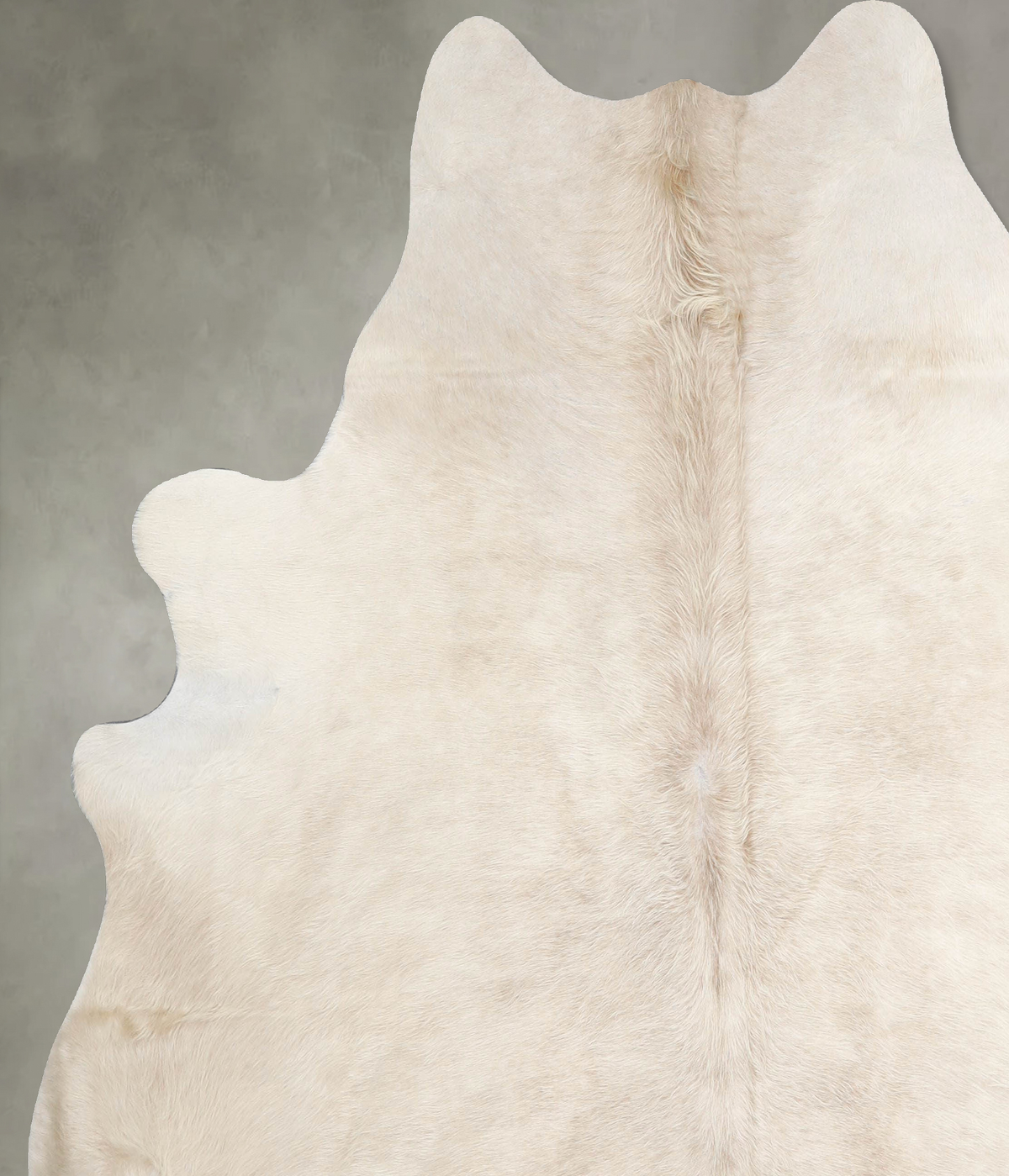 Champagne X-Large Brazilian Cowhide Rug 7'2"H x 6'10"W #A54898 by Hudson Hides