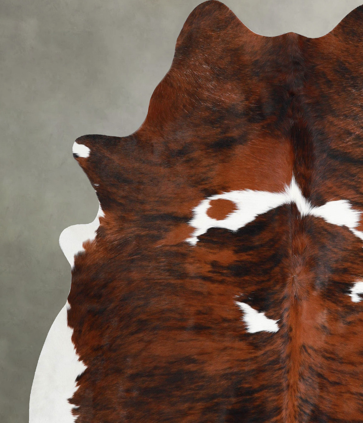 Tricolor X-Large Brazilian Cowhide Rug 6'11"H x 6'2"W #A54904 by Hudson Hides