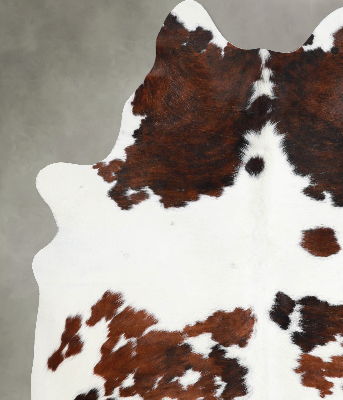Tricolor Large Brazilian Cowhide Rug 6'7"H x 5'8"W #A54908 by Hudson Hides