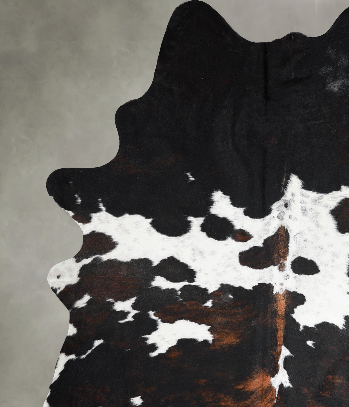 Tricolor X-Large Brazilian Cowhide Rug 7'9"H x 6'3"W #A54910 by Hudson Hides