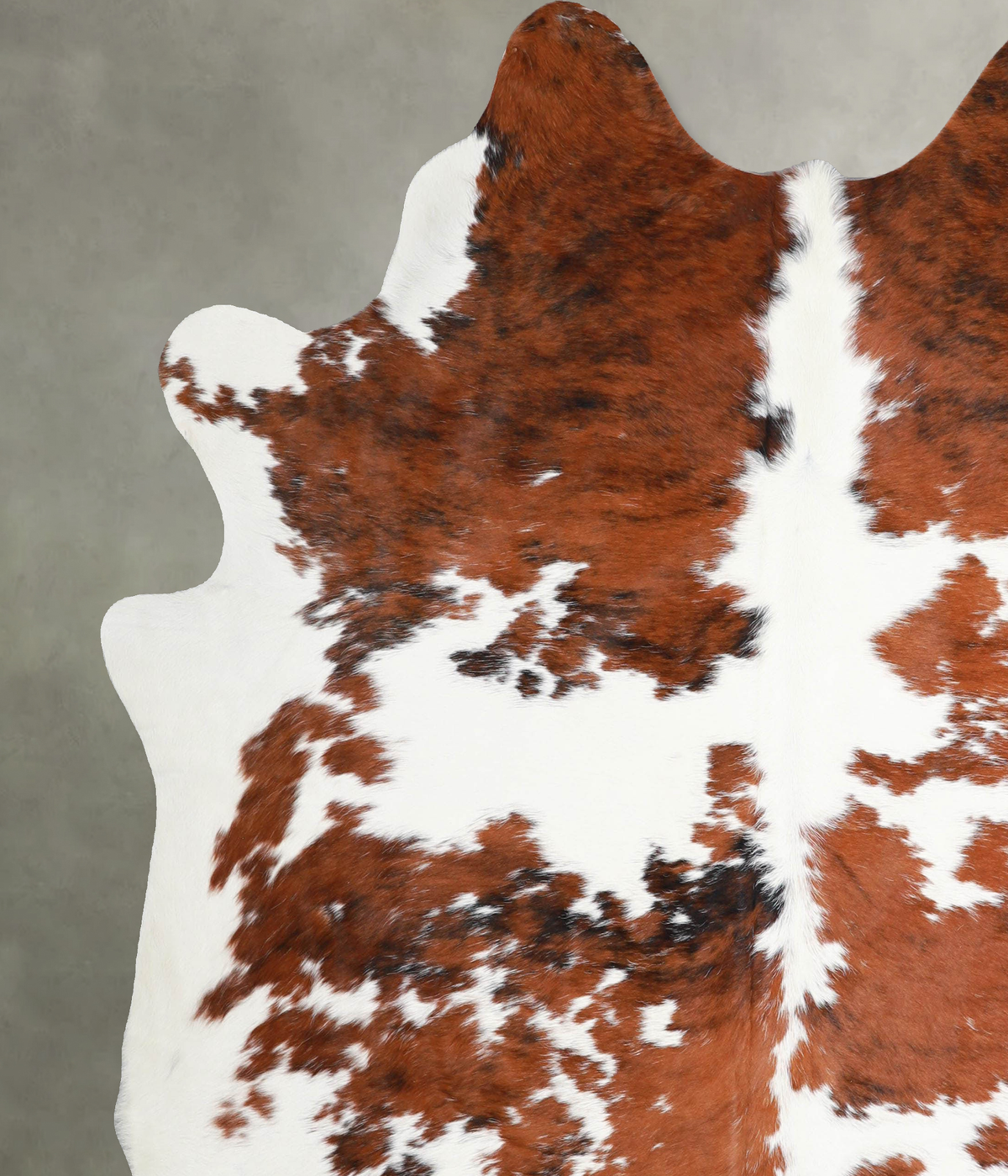 Tricolor XX-Large Brazilian Cowhide Rug 7'6"H x 6'9"W #A54912 by Hudson Hides