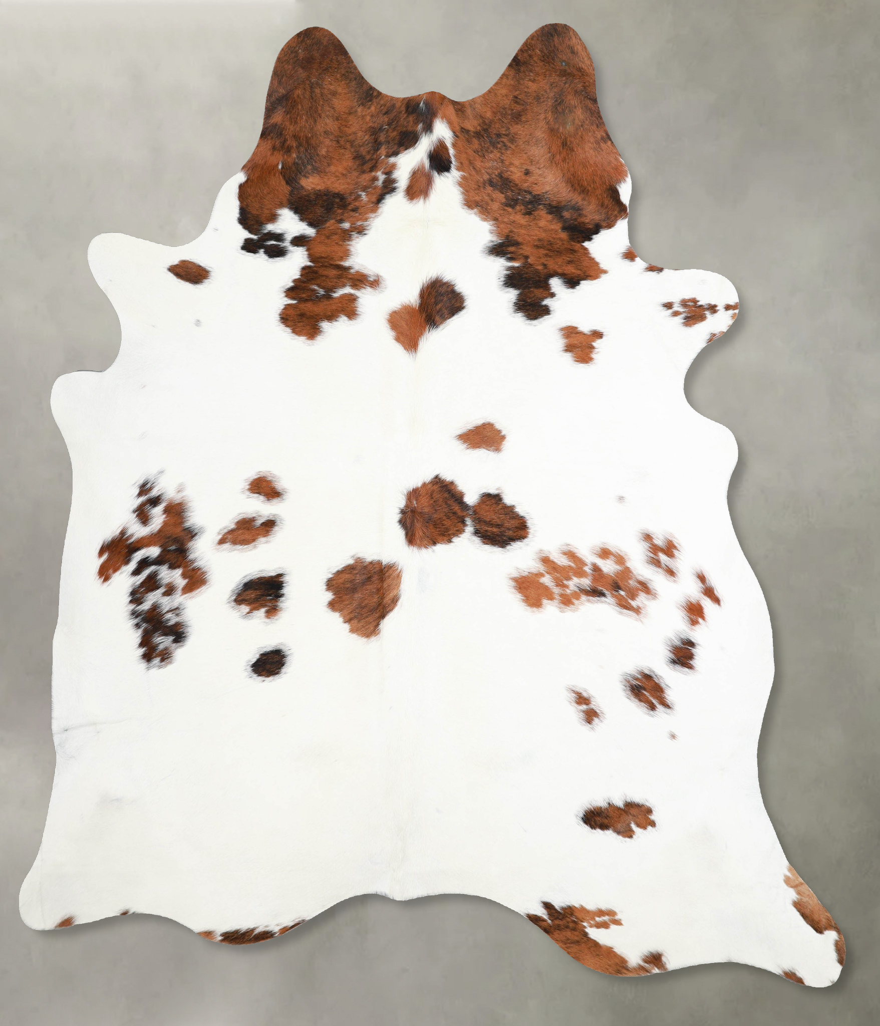 Tricolor Cowhide Rug #A54913