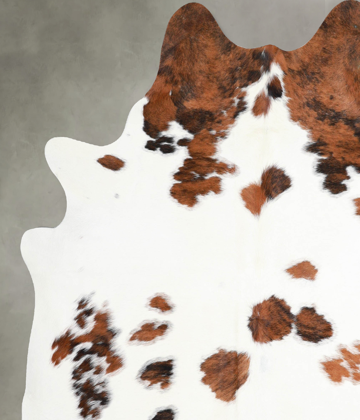 Tricolor X-Large Brazilian Cowhide Rug 7'3"H x 6'3"W #A54913 by Hudson Hides
