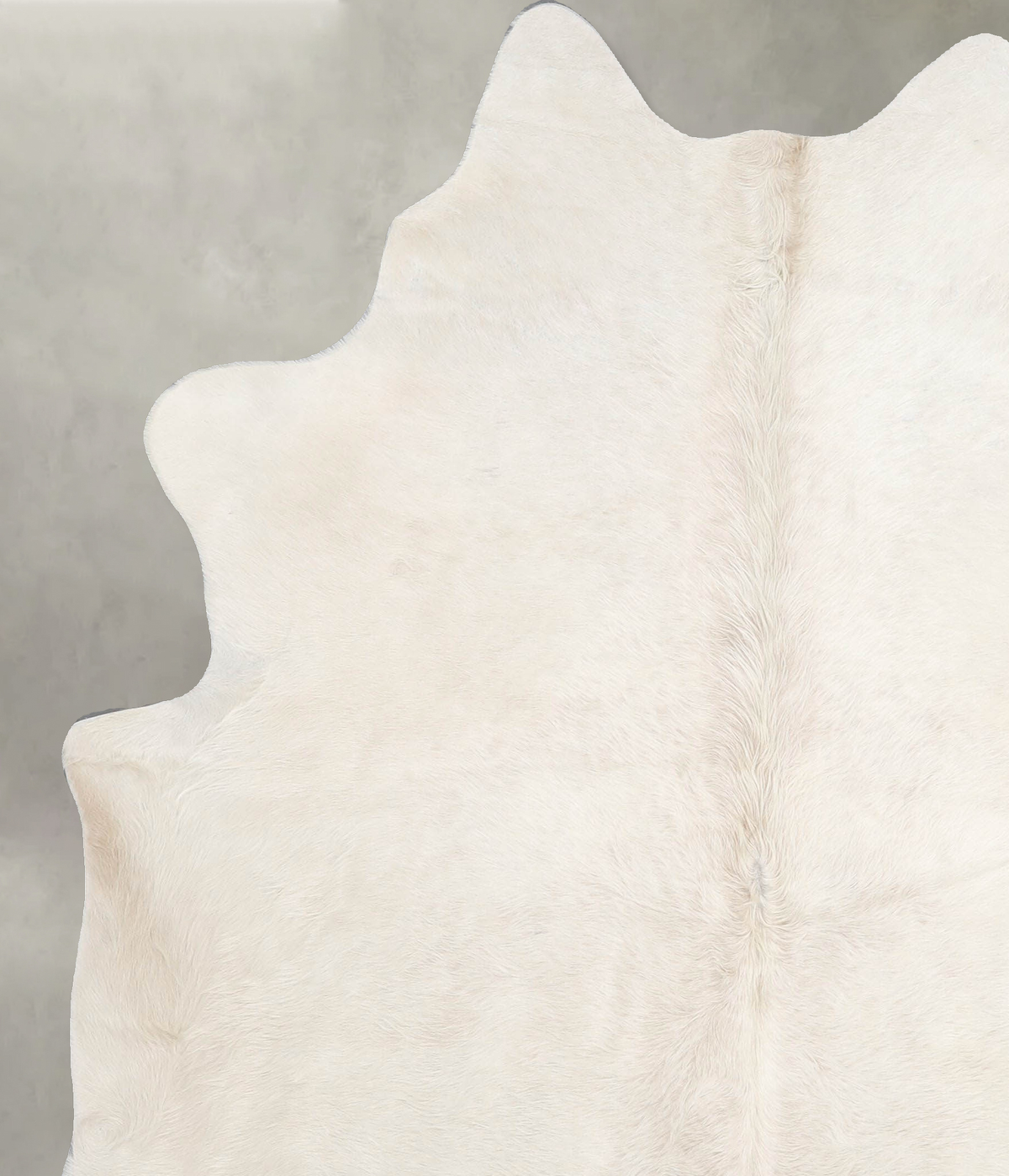 Solid White Large Brazilian Cowhide Rug 6'7"H x 5'8"W #A54915 by Hudson Hides