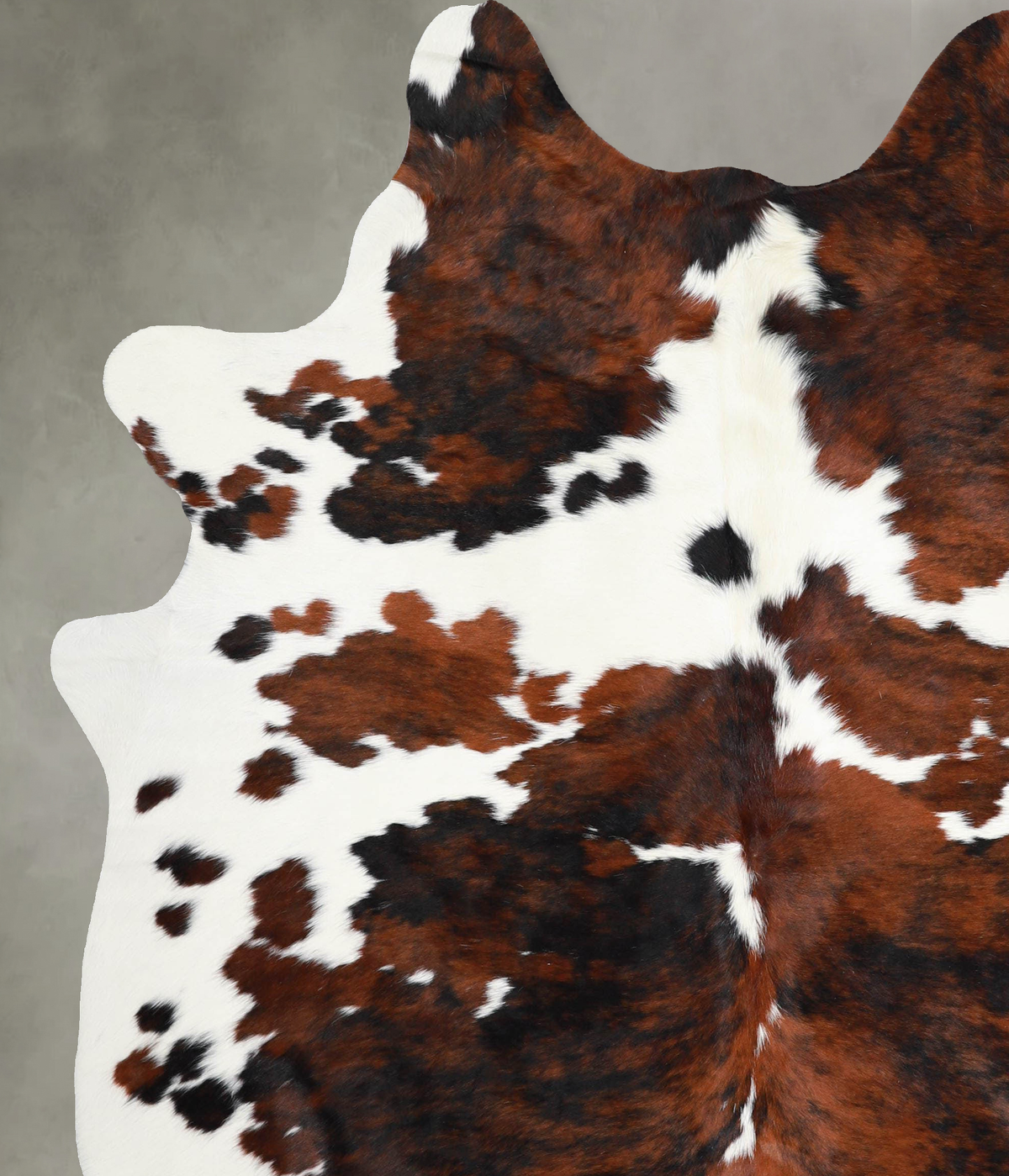 Tricolor X-Large Brazilian Cowhide Rug 7'4"H x 6'2"W #A54919 by Hudson Hides