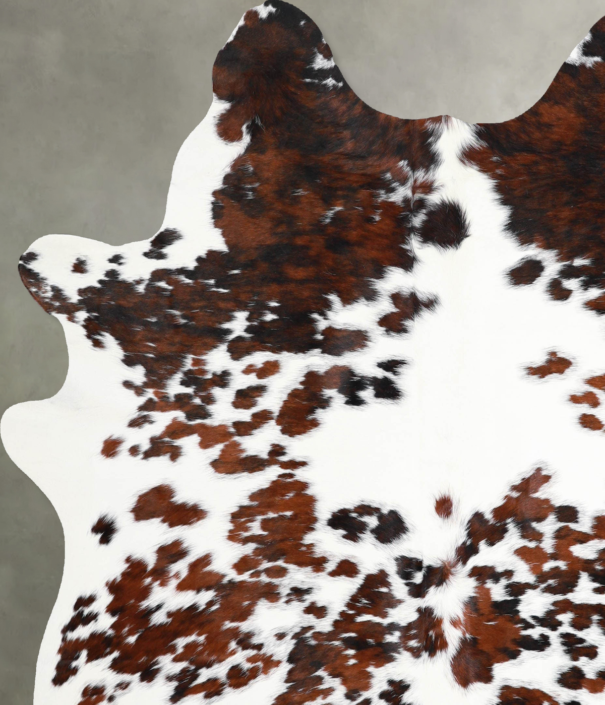 Tricolor X-Large Brazilian Cowhide Rug 7'1"H x 5'9"W #A54921 by Hudson Hides