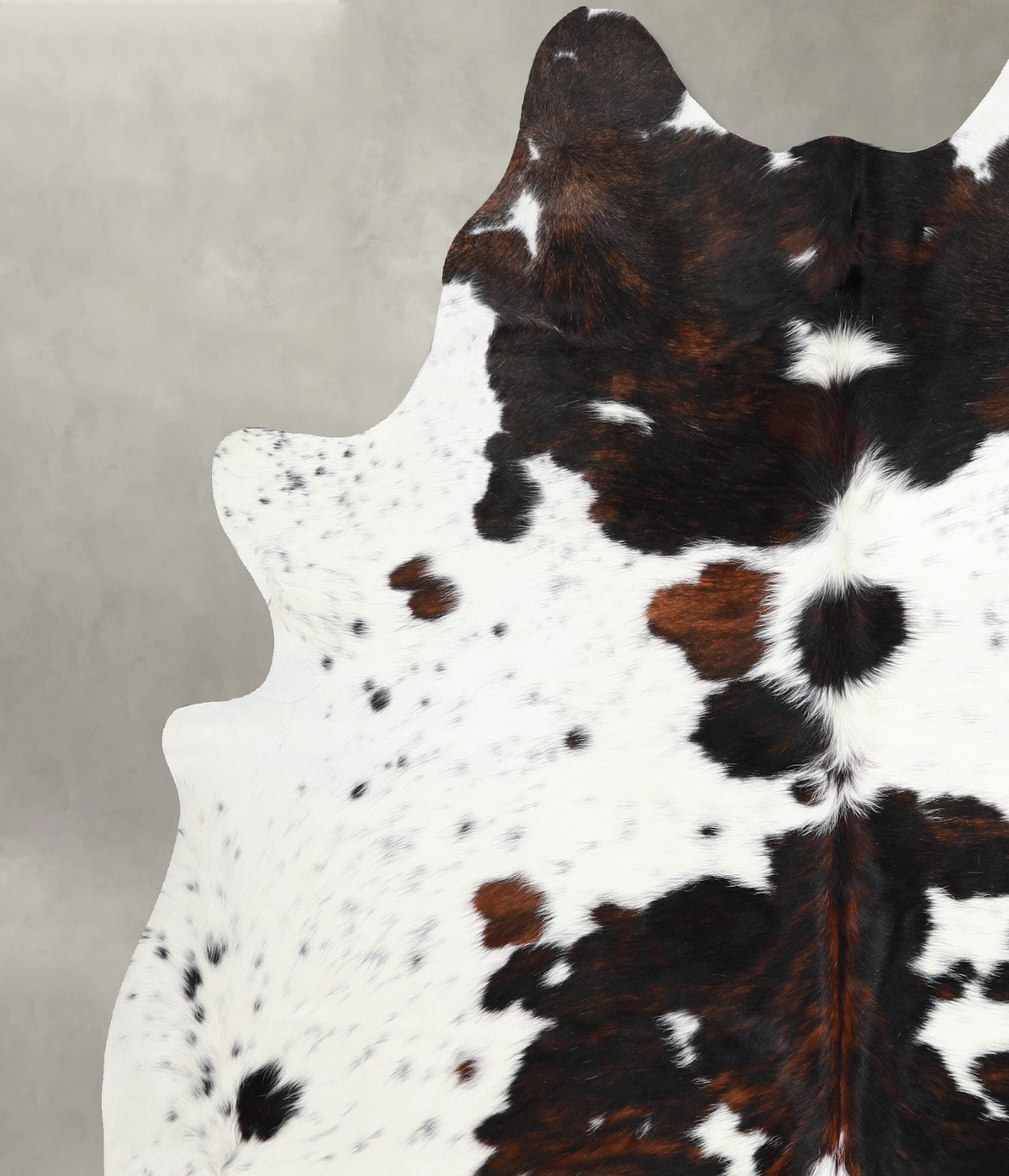 Tricolor X-Large Brazilian Cowhide Rug 7'2"H x 6'3"W #A54922 by Hudson Hides