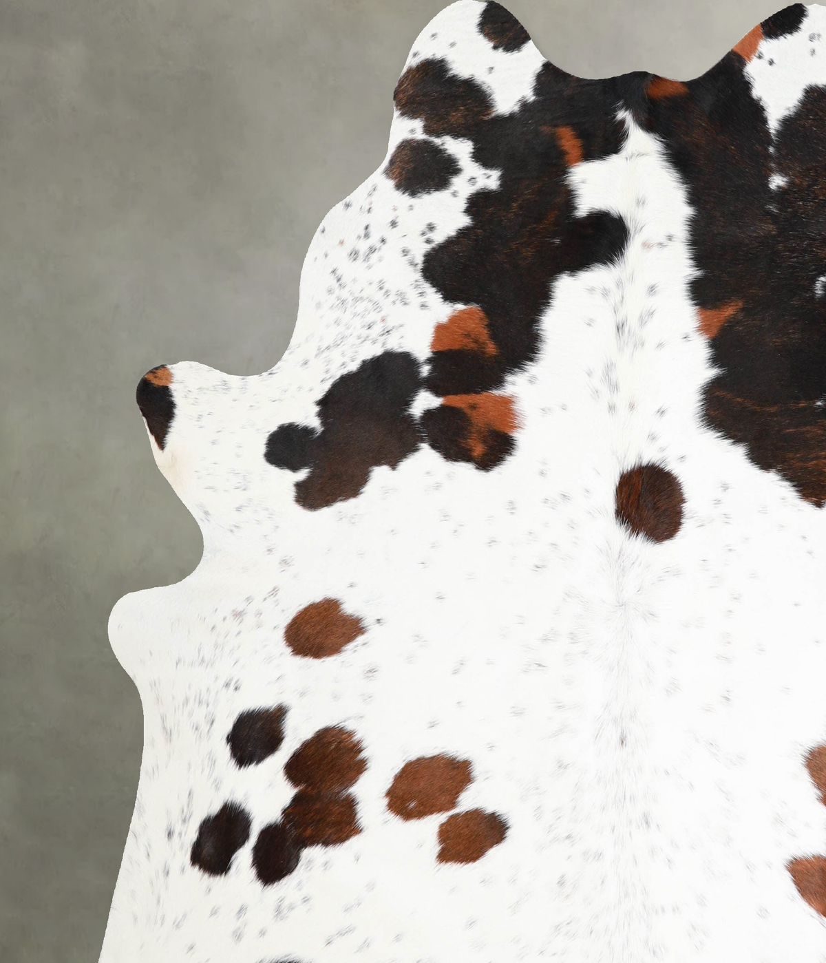 Tricolor X-Large Brazilian Cowhide Rug 7'2"H x 6'5"W #A54924 by Hudson Hides