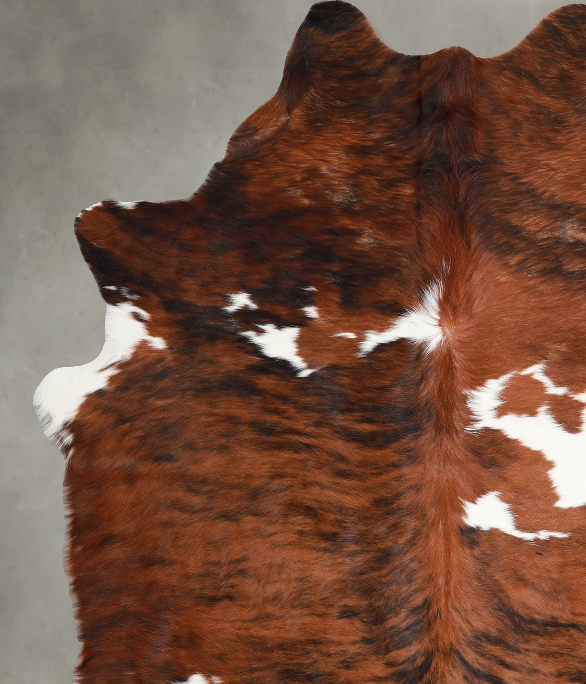 Tricolor X-Large Brazilian Cowhide Rug 7'7"H x 6'1"W #A54925 by Hudson Hides