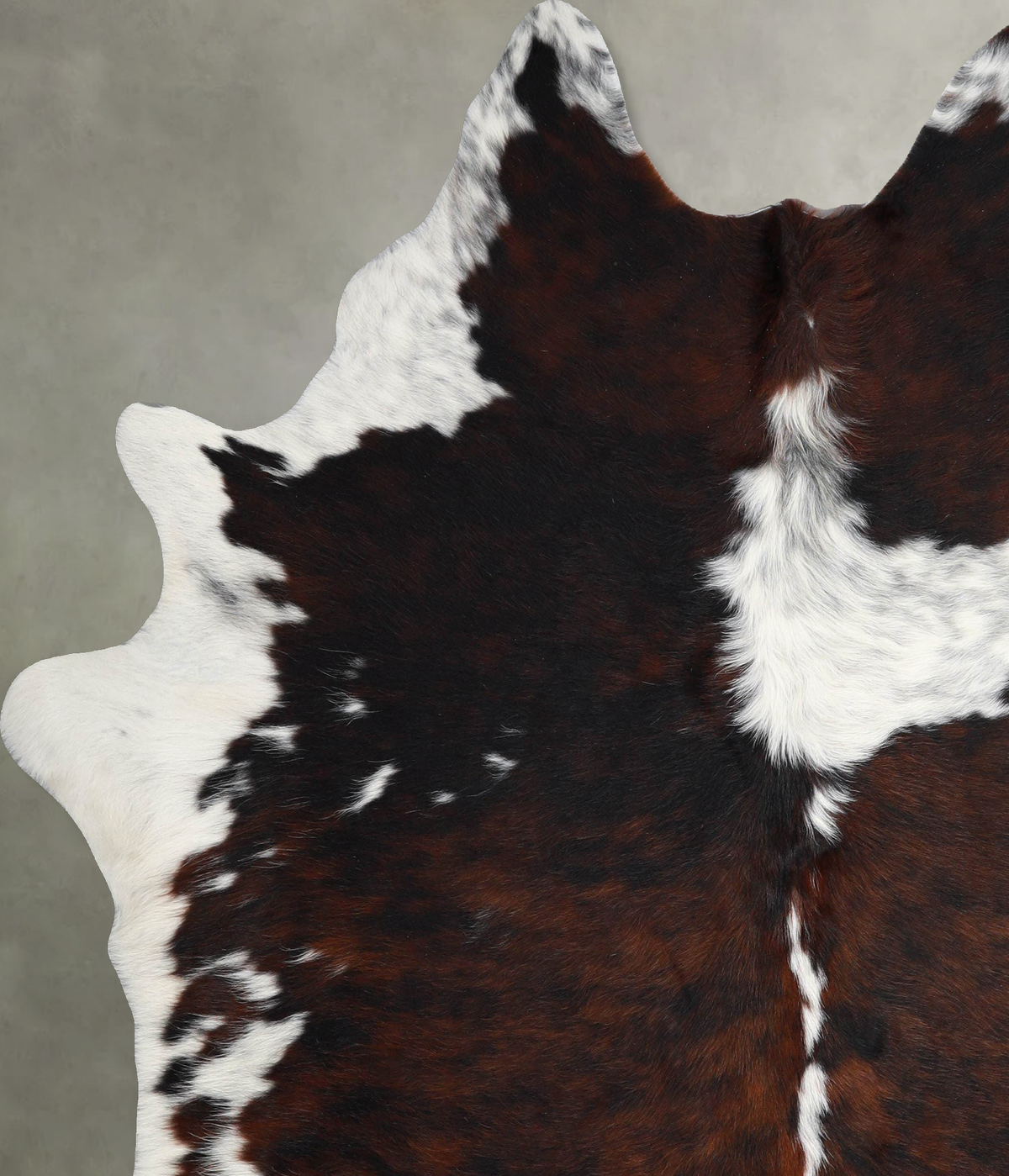 Tricolor X-Large Brazilian Cowhide Rug 7'6"H x 6'6"W #A54926 by Hudson Hides