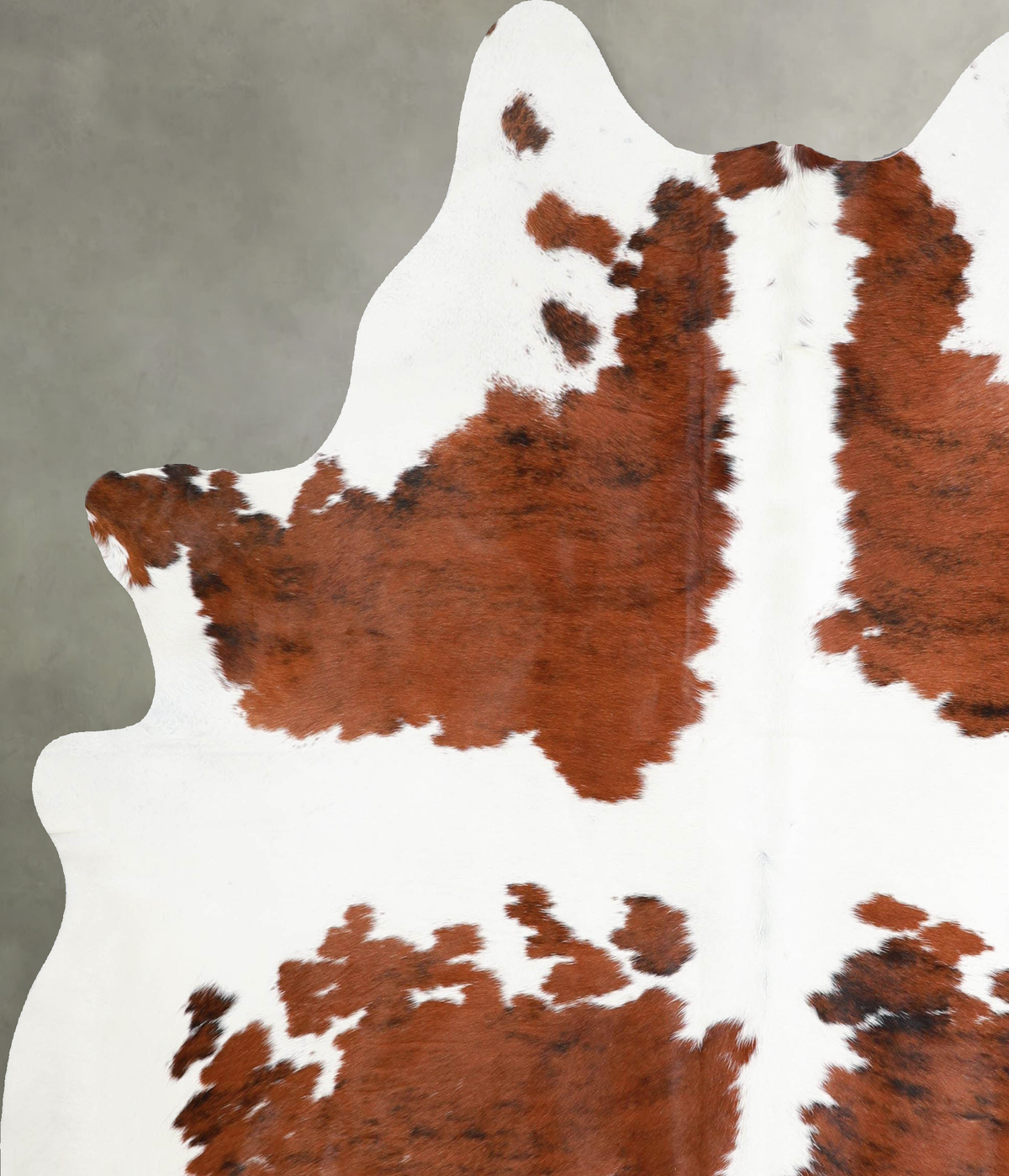 Tricolor X-Large Brazilian Cowhide Rug 7'0"H x 6'1"W #A54928 by Hudson Hides