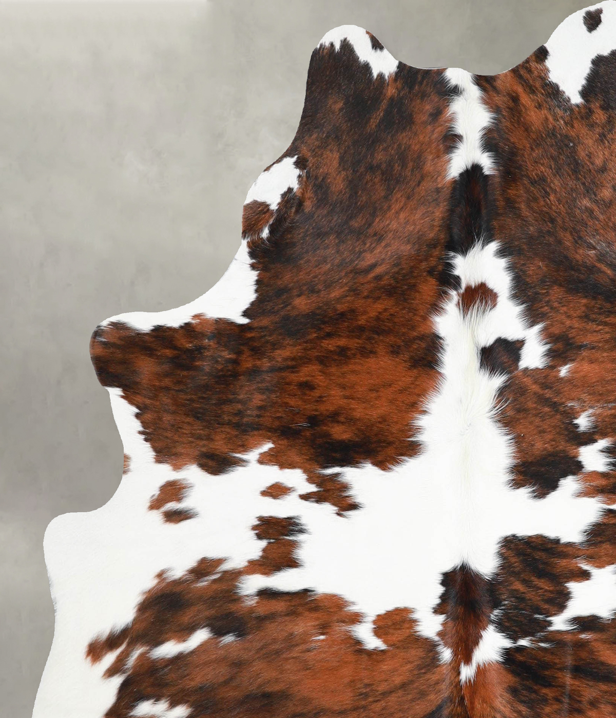 Tricolor Large Brazilian Cowhide Rug 6'1"H x 5'0"W #A54929 by Hudson Hides