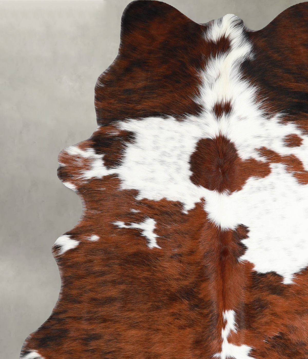 Tricolor Large Brazilian Cowhide Rug 6'5"H x 5'5"W #A54930 by Hudson Hides