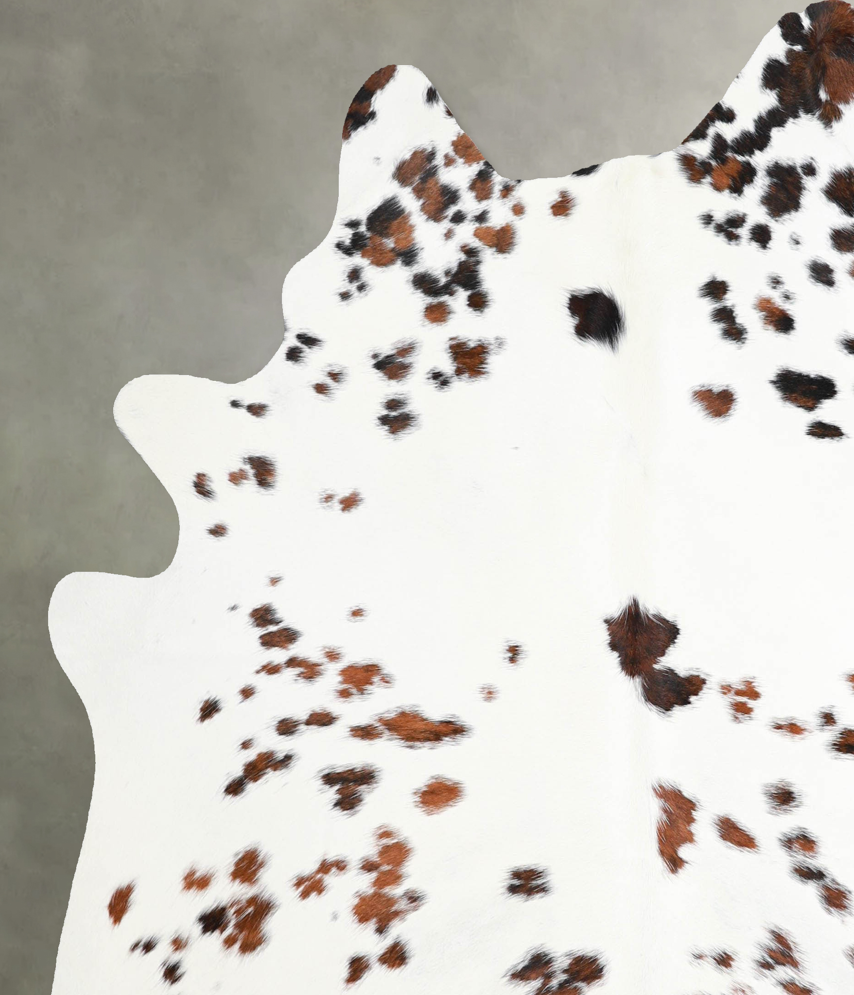 Tricolor Cowhide Rug #A54931