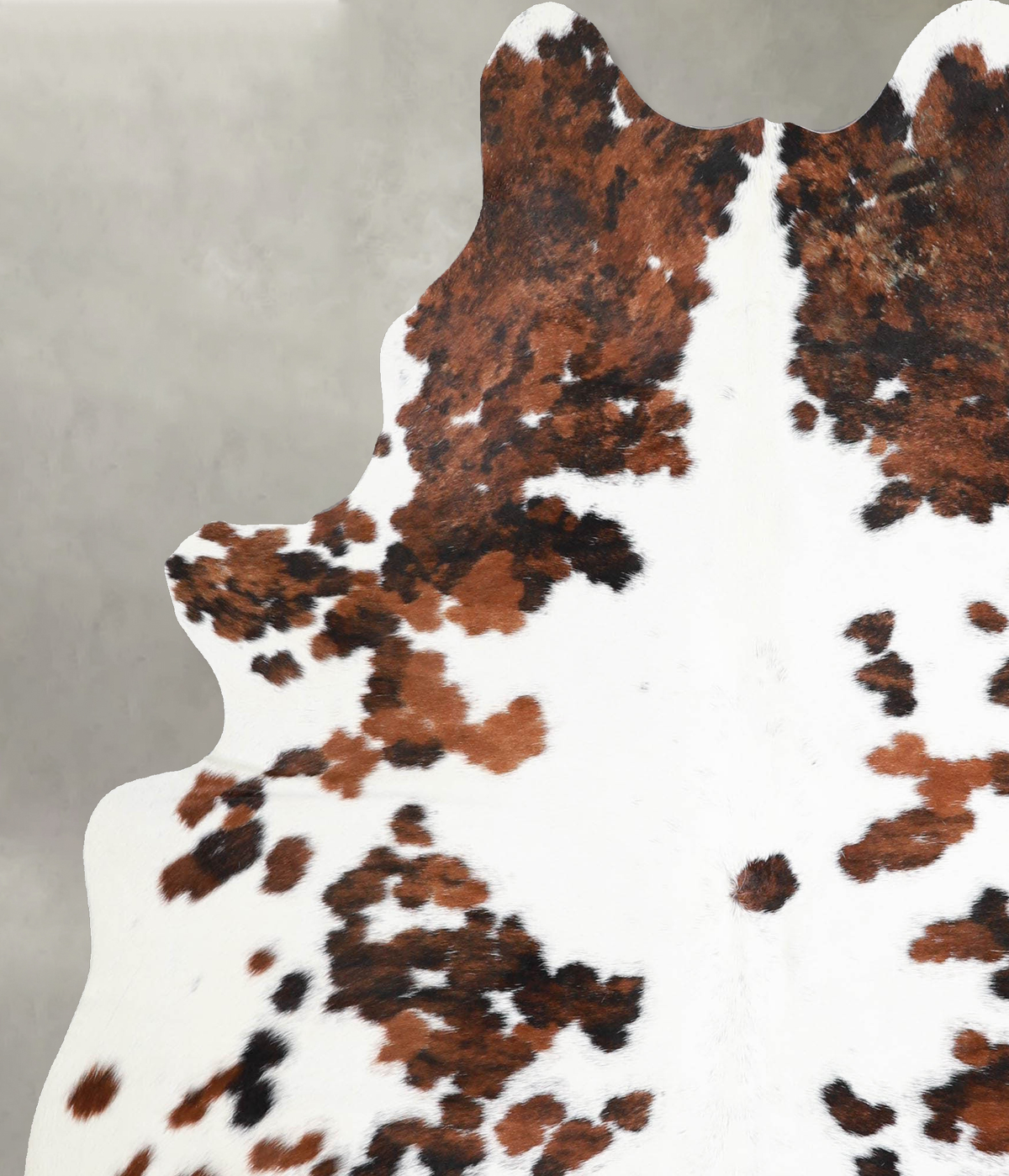 Tricolor Large Brazilian Cowhide Rug 6'6"H x 5'4"W #A54933 by Hudson Hides