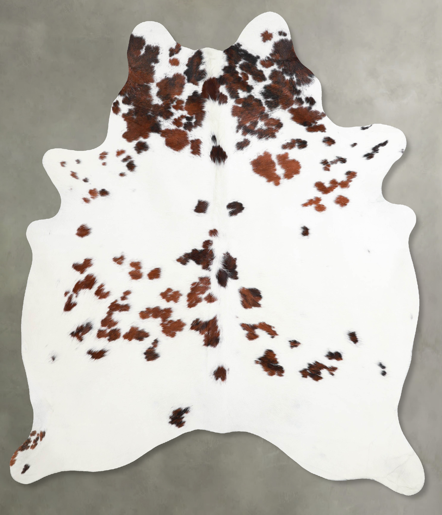 Tricolor Cowhide Rug #A54934