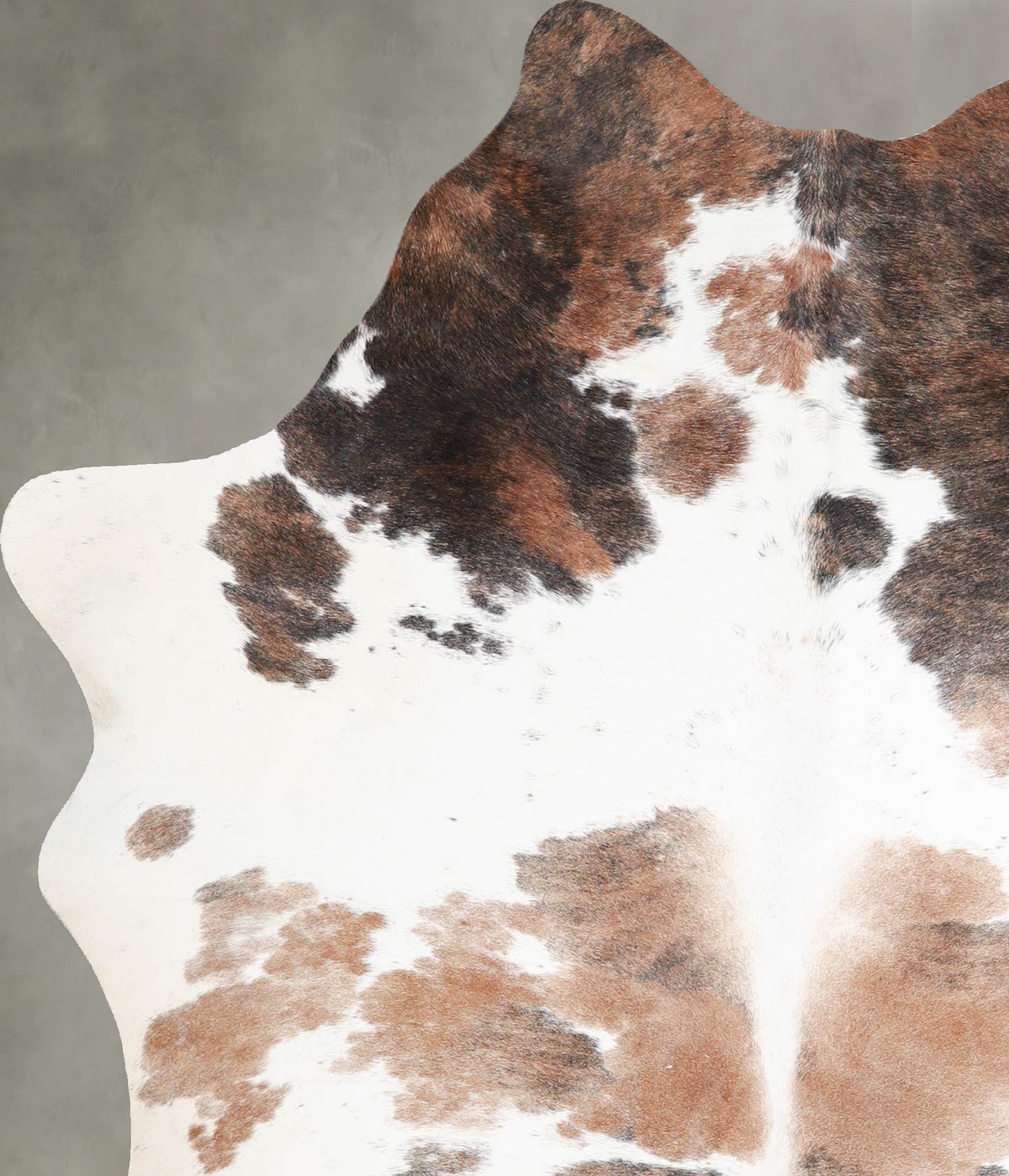 Tricolor Medium Brazilian Cowhide Rug 6'1"H x 4'11"W #A54935 by Hudson Hides