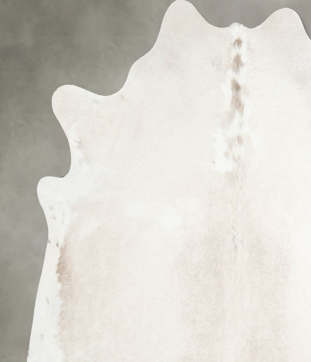 Champagne X-Large Brazilian Cowhide Rug 6'8"H x 6'7"W #A54939 by Hudson Hides