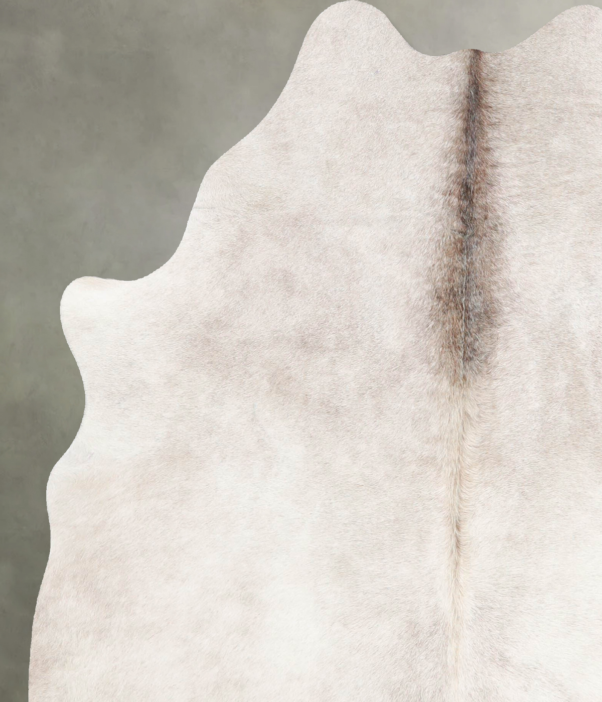 Champagne Medium Brazilian Cowhide Rug 6'1"H x 4'11"W #A54946 by Hudson Hides