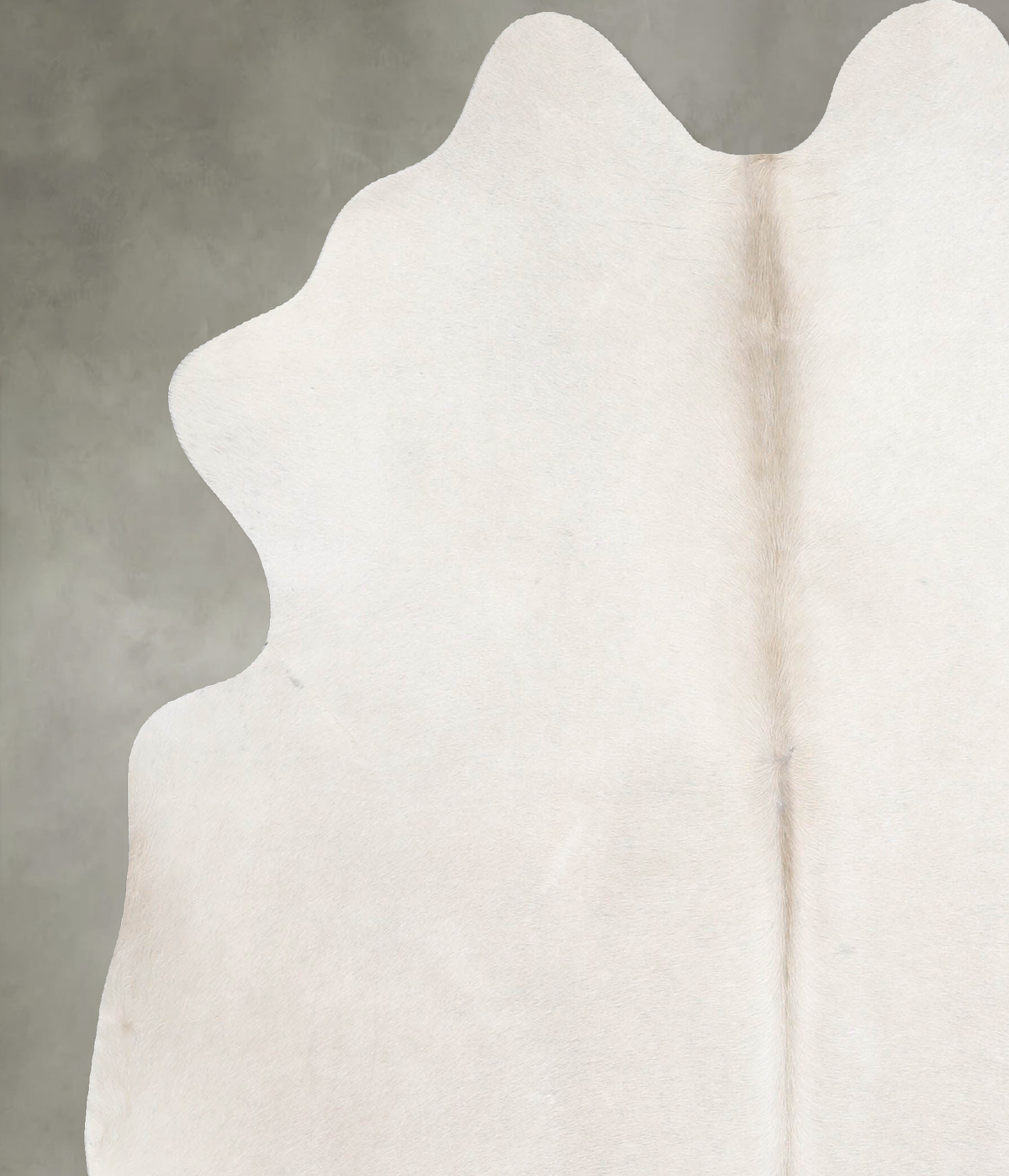 Champagne Large Brazilian Cowhide Rug 6'2"H x 5'6"W #A54964 by Hudson Hides