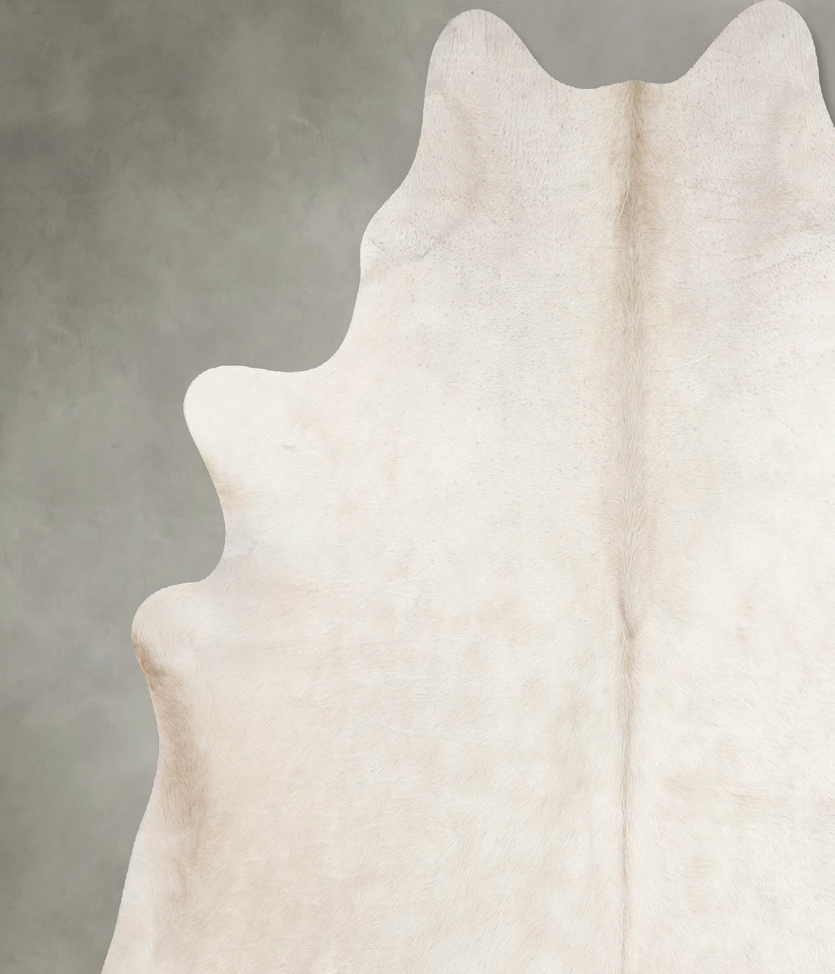 Champagne X-Large Brazilian Cowhide Rug 6'8"H x 6'2"W #A54966 by Hudson Hides