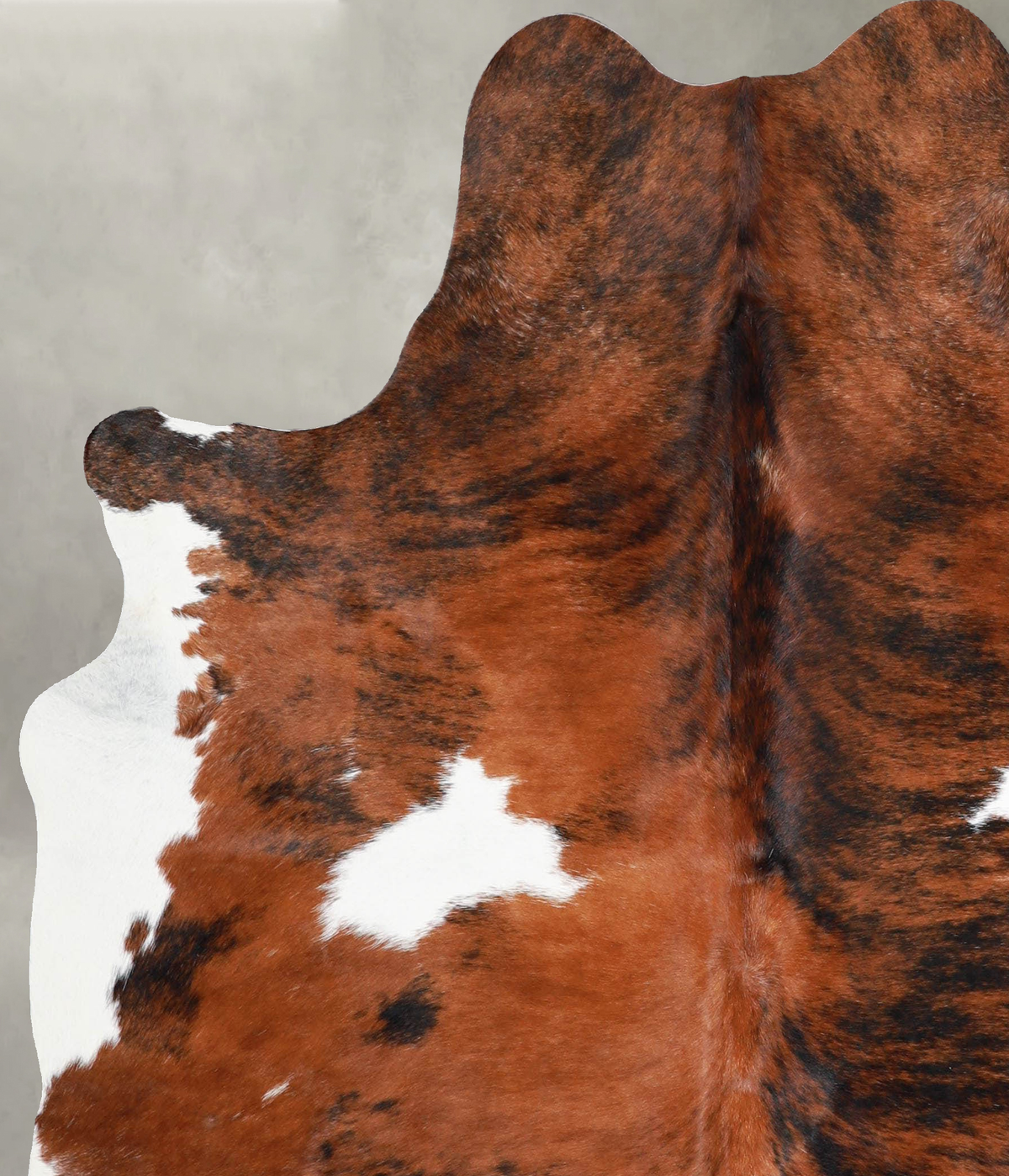 Tricolor Large Brazilian Cowhide Rug 6'2"H x 5'6"W #A54968 by Hudson Hides