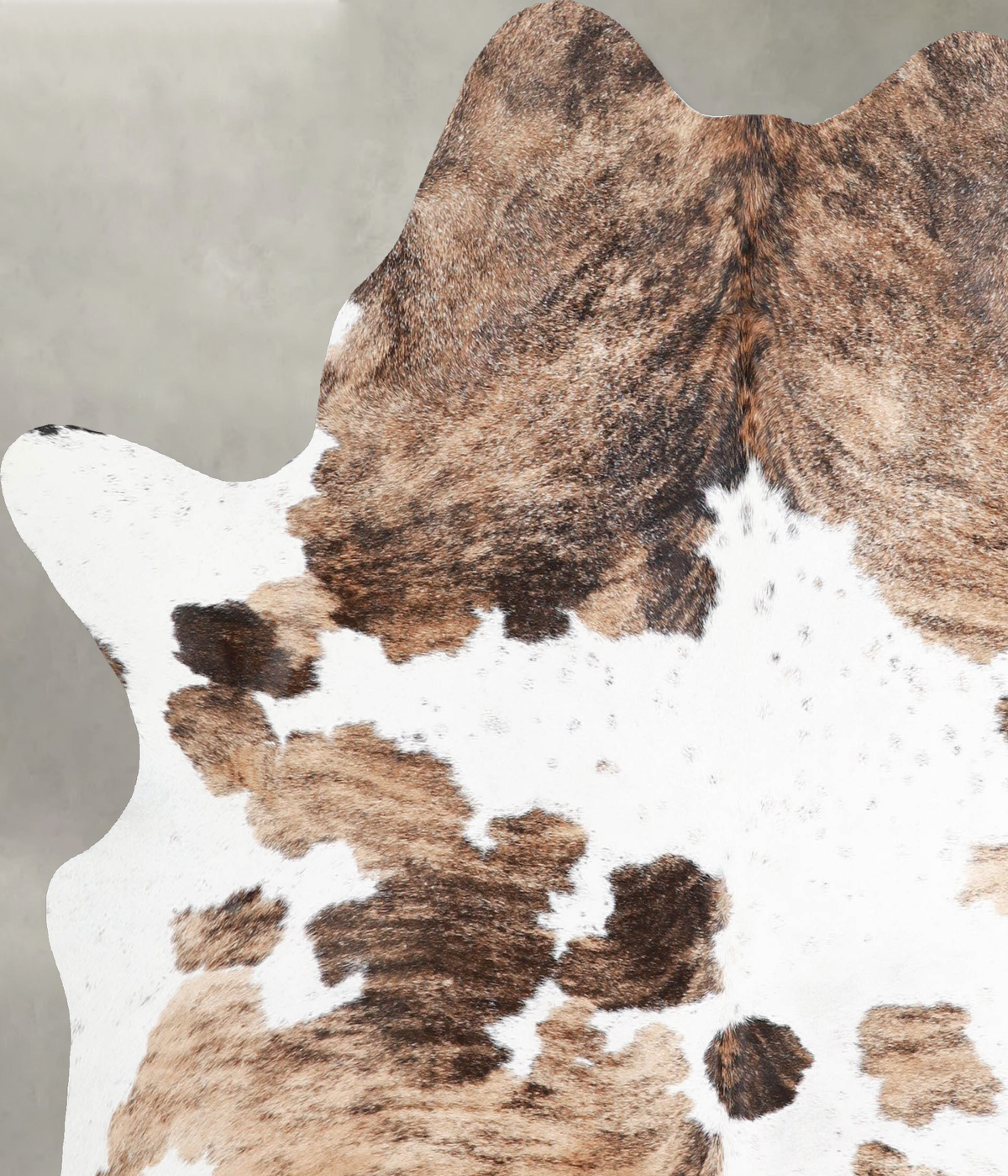 Tricolor Large Brazilian Cowhide Rug 6'0"H x 5'11"W #A54969 by Hudson Hides