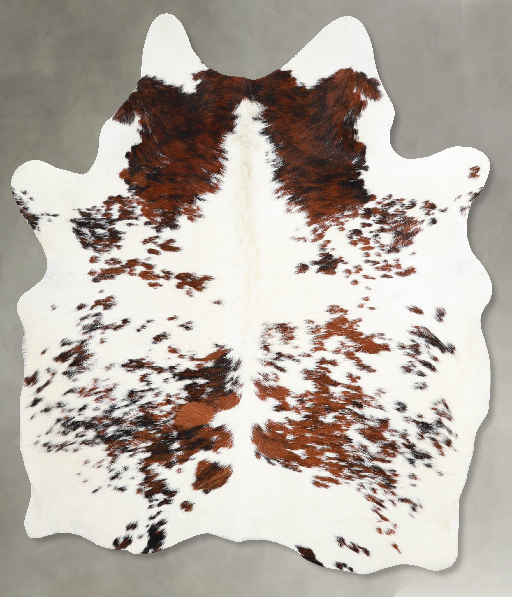 Tricolor Cowhide Rug #A54971