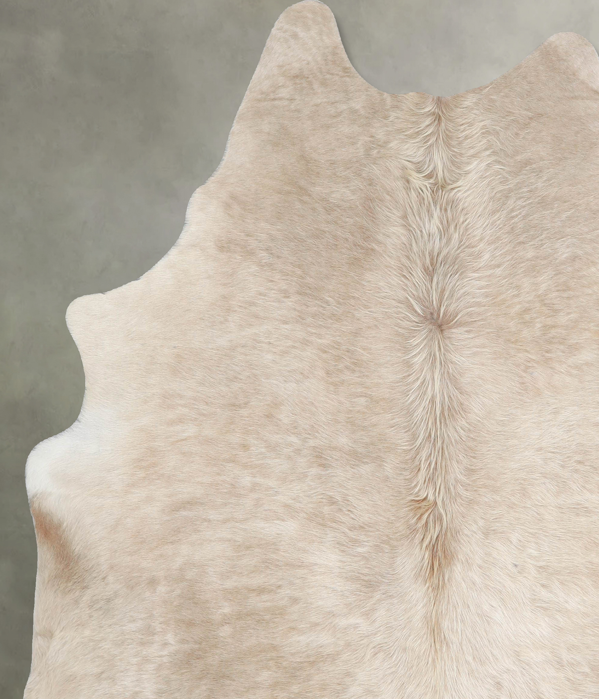 Champagne X-Large Brazilian Cowhide Rug 6'9"H x 6'2"W #A54981 by Hudson Hides