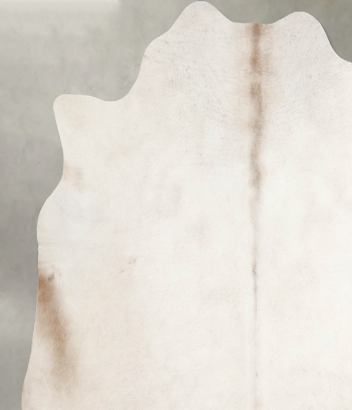 Champagne X-Large Brazilian Cowhide Rug 6'4"H x 6'7"W #A54983 by Hudson Hides