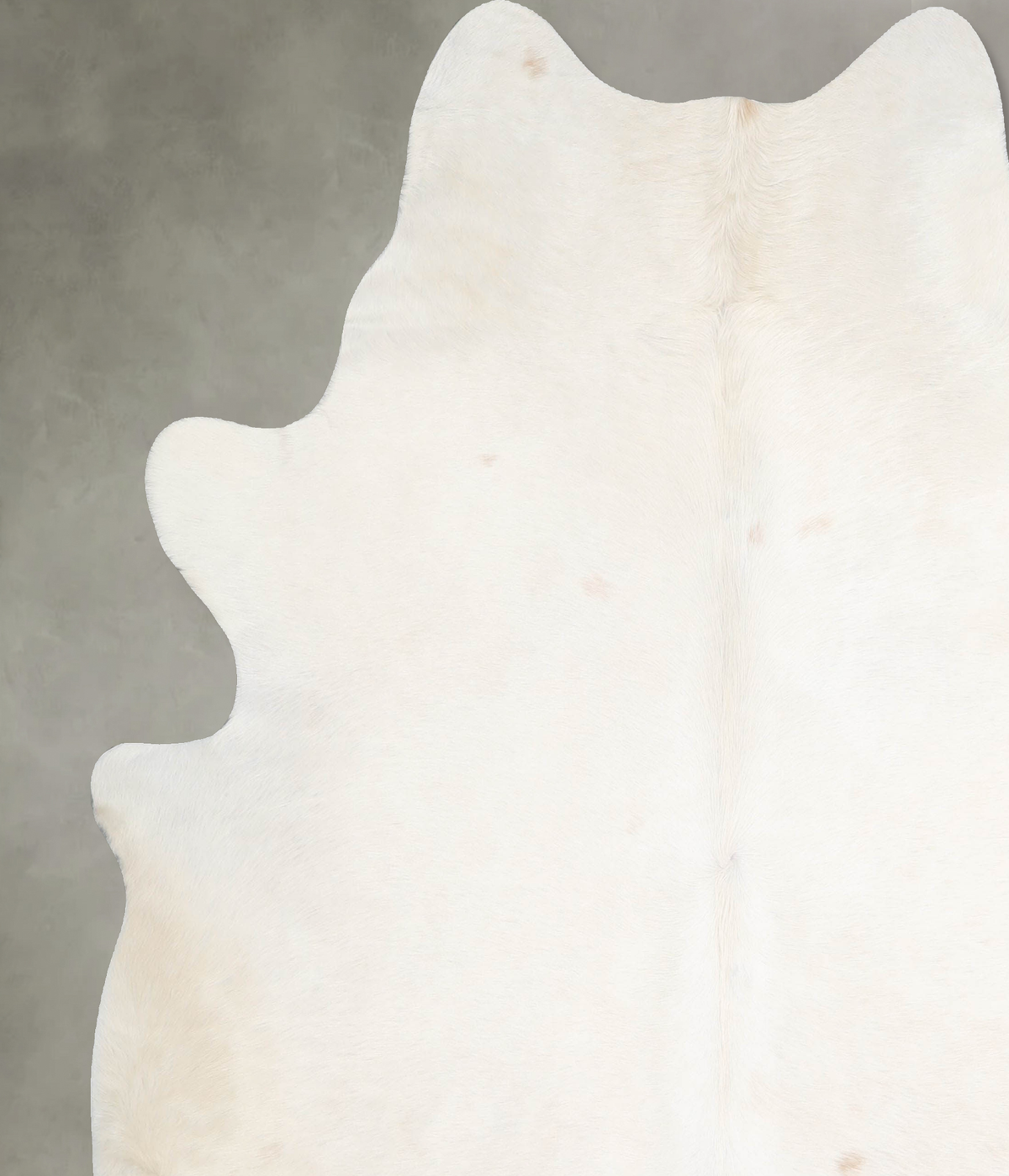 Champagne XX-Large Brazilian Cowhide Rug 7'5"H x 6'10"W #A54984 by Hudson Hides