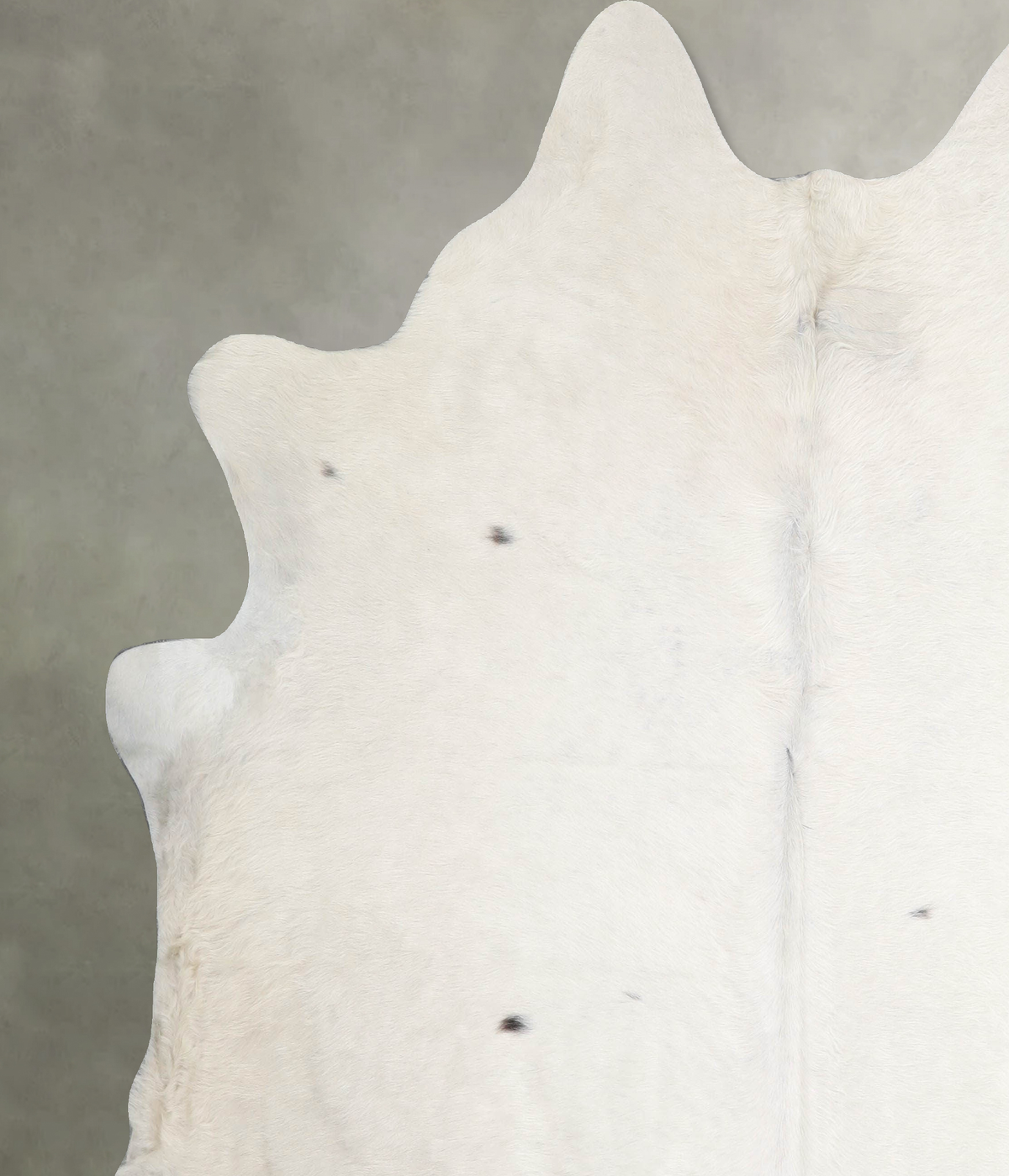 Champagne XX-Large Brazilian Cowhide Rug 7'5"H x 6'11"W #A54991 by Hudson Hides