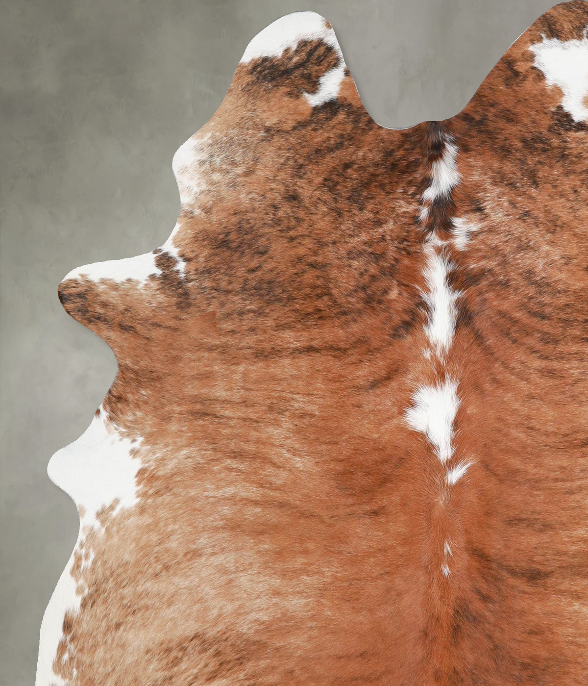Medium Brindle Large Brazilian Cowhide Rug 6'4"H x 5'2"W #A54994 by Hudson Hides
