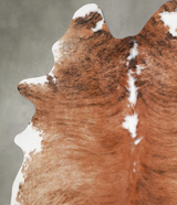 Medium Brindle Large Brazilian Cowhide Rug 6'4"H x 5'2"W #A54994 by Hudson Hides