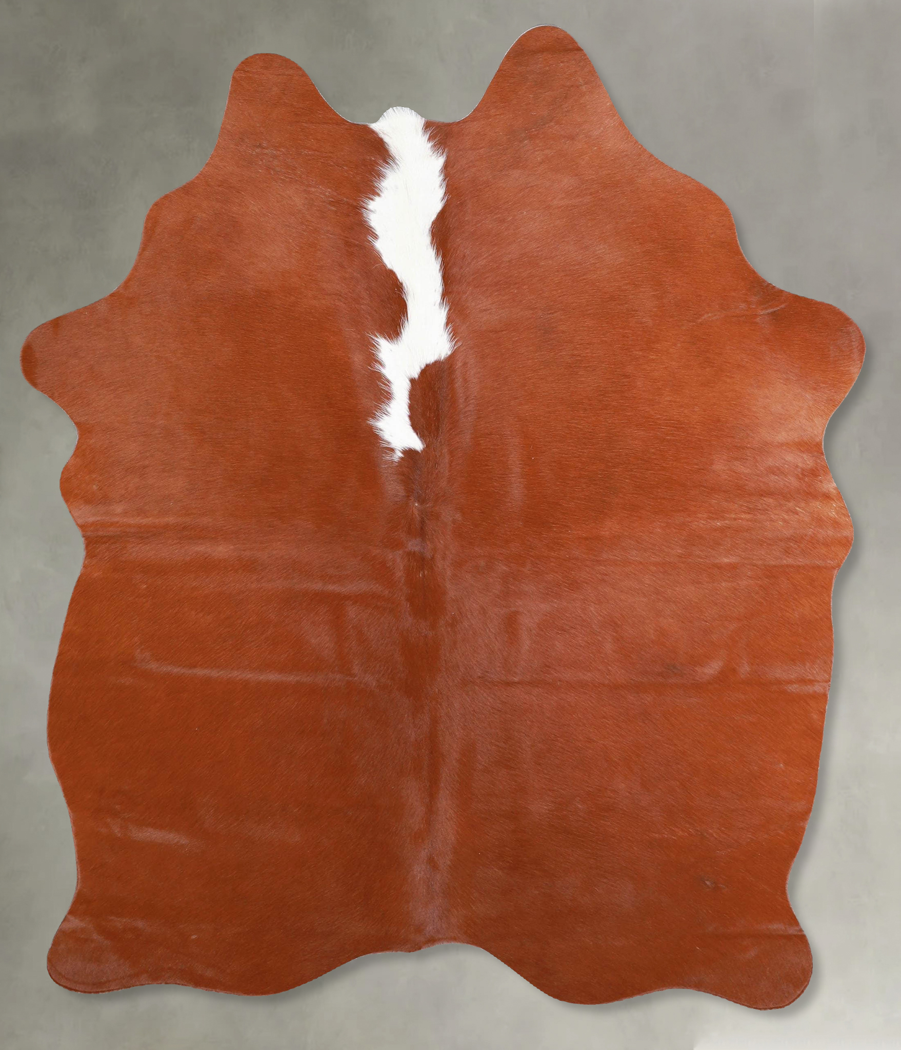 Brown and White Regular Cowhide Rug #A54998