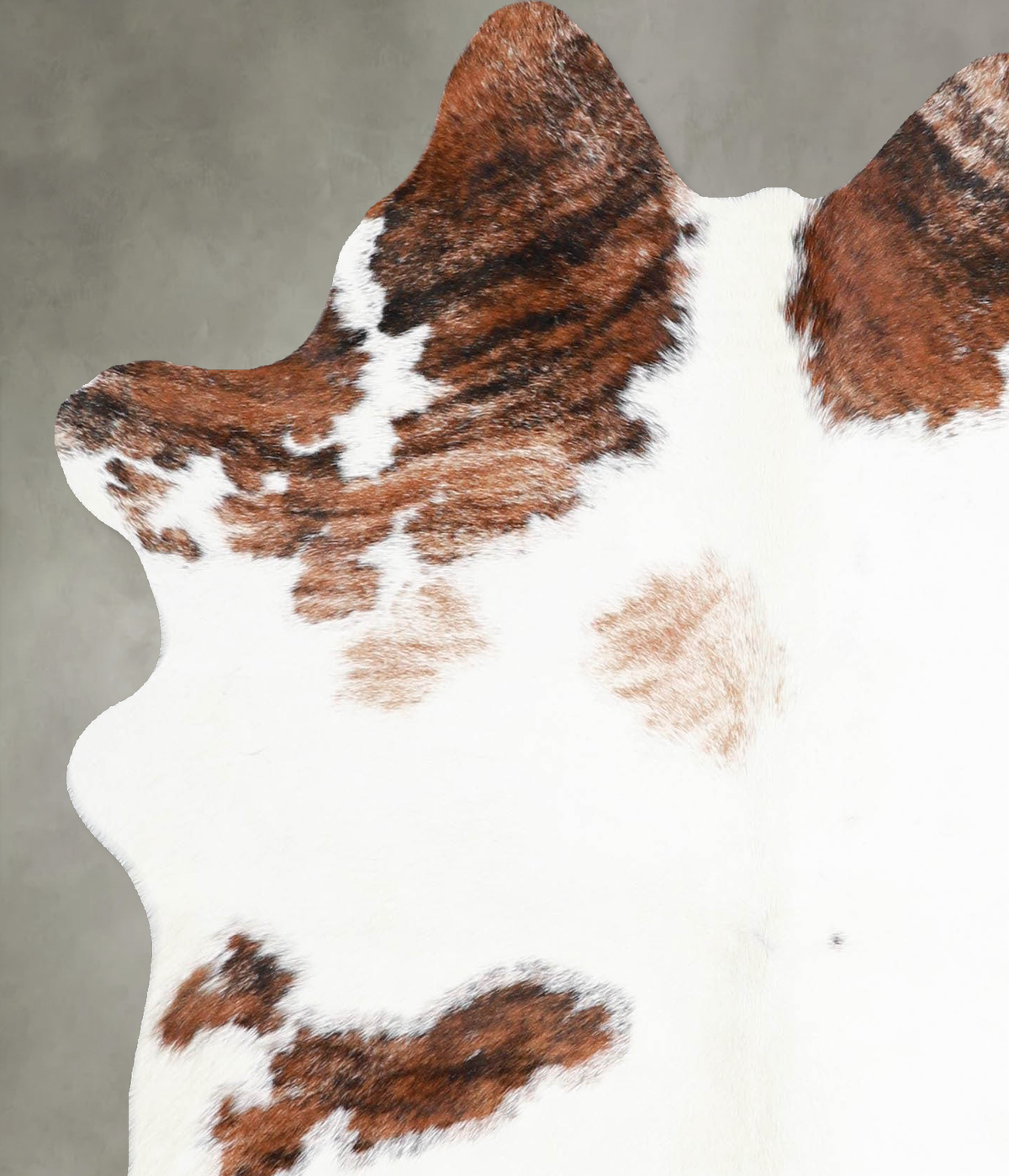 Tricolor Medium Brazilian Cowhide Rug 5'0"H x 4'5"W #A55004 by Hudson Hides