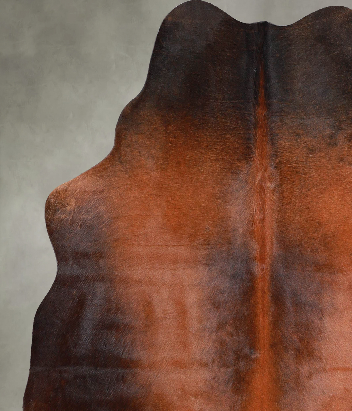 Warm Caramel Medium Brazilian Cowhide Rug 5'8"H x 4'11"W #A55005 by Hudson Hides