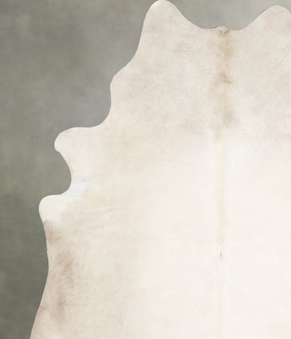 Champagne XX-Large Brazilian Cowhide Rug 7'11"H x 7'3"W #A55008 by Hudson Hides
