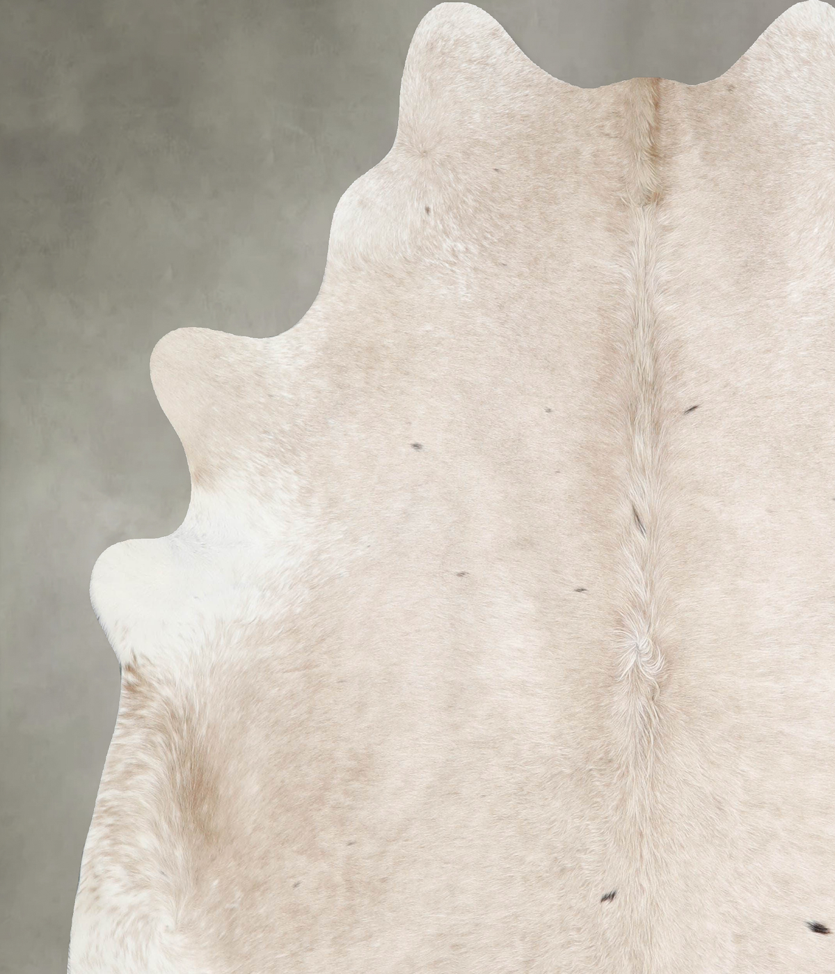 Champagne X-Large Brazilian Cowhide Rug 7'1"H x 6'8"W #A55010 by Hudson Hides