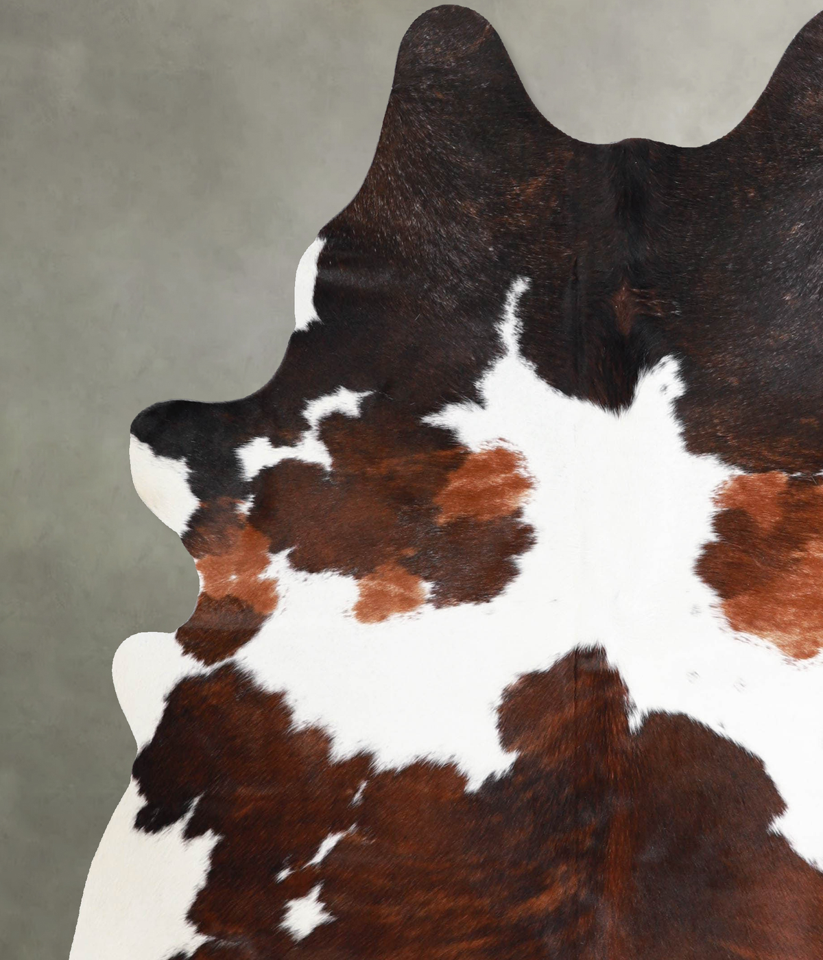 Tricolor Large Brazilian Cowhide Rug 6'8"H x 5'8"W #A55013 by Hudson Hides