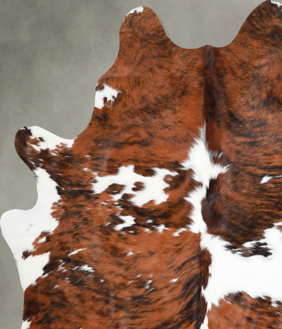 Tricolor X-Large Brazilian Cowhide Rug 7'4"H x 5'9"W #A55016 by Hudson Hides