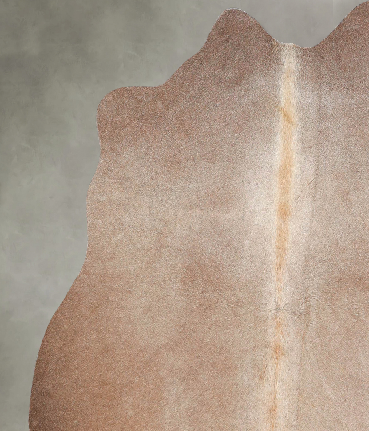 Taupe Medium Brazilian Cowhide Rug 4'11"H x 4'3"W #A55019 by Hudson Hides