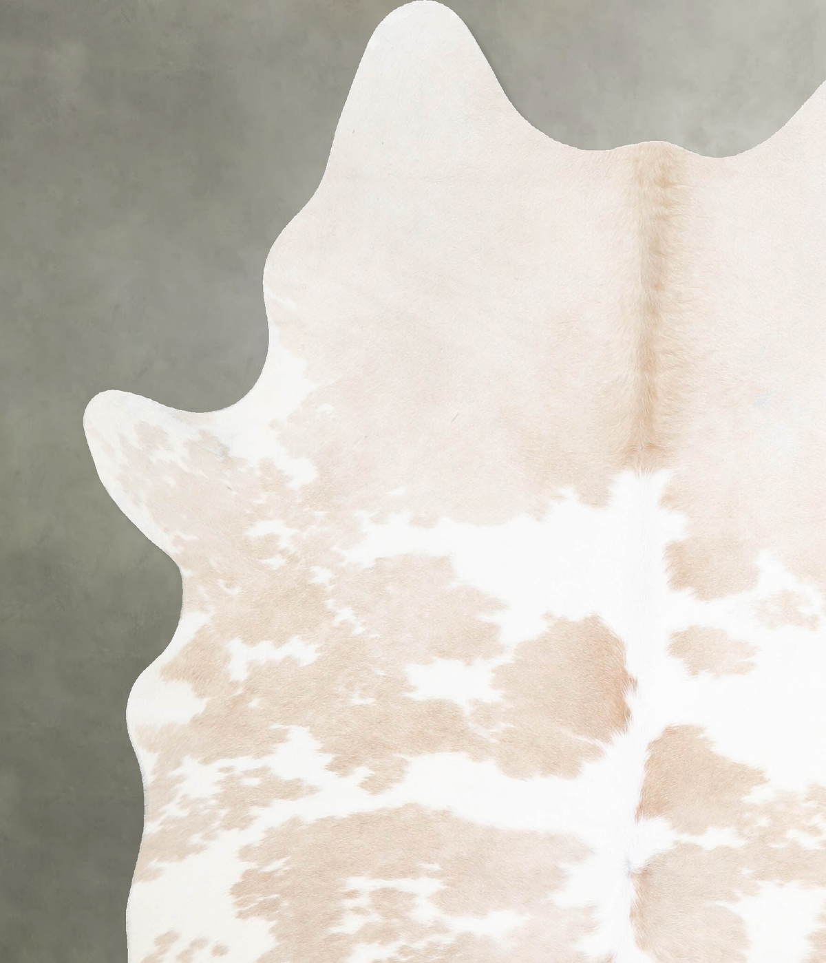 Beige and White Large Brazilian Cowhide Rug 6'7"H x 5'6"W #A55025 by Hudson Hides